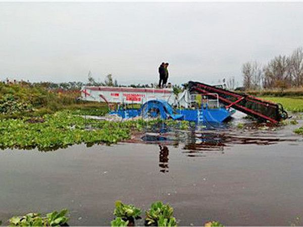 西昌水葫蘆打撈船工作現(xiàn)場.jpg