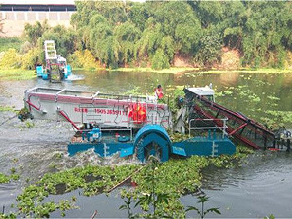 四川中型水葫蘆收割船工作現(xiàn)場.jpg