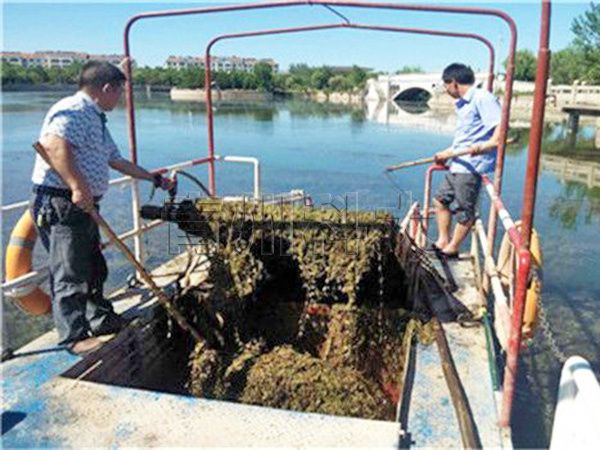山東小型割草船工作現(xiàn)場