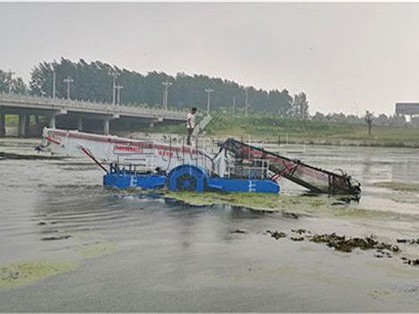 全自動水草打撈船江蘇豐縣工作現(xiàn)場 