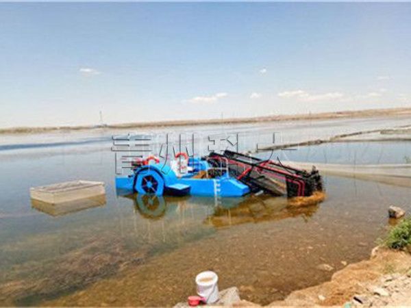 內(nèi)蒙古赤峰割草船工作現(xiàn)場