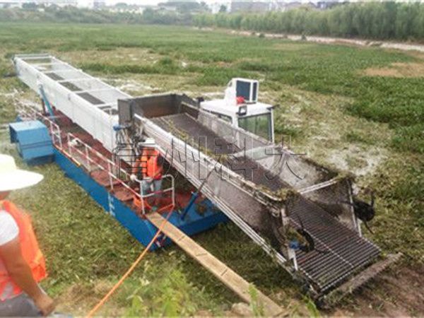 湖北水葫蘆打撈船工作現(xiàn)場