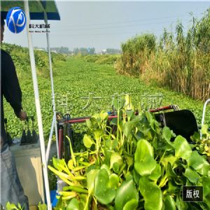 <img src=upfile/images/2019/09/03/small3_15674706593959684.jpg height=150>